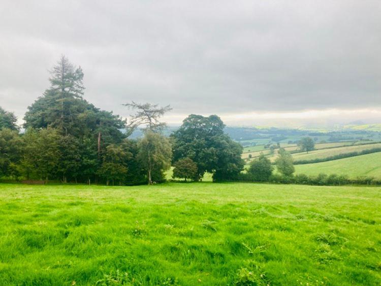 Luxury Stargazing Glamping - Seren Aur With Hot Tub * Llanidloes