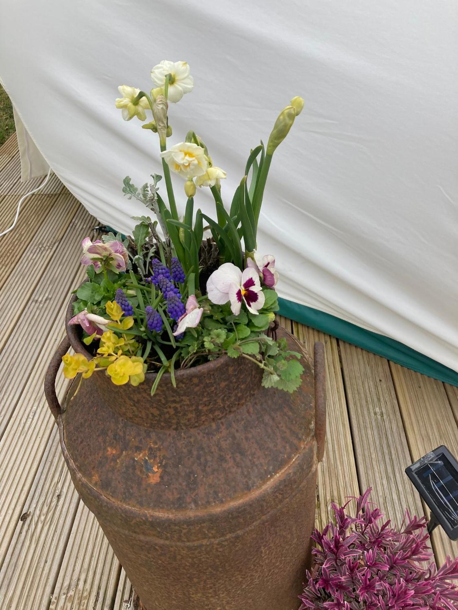 Luxury Stargazing Glamping - Seren Aur With Hot Tub *